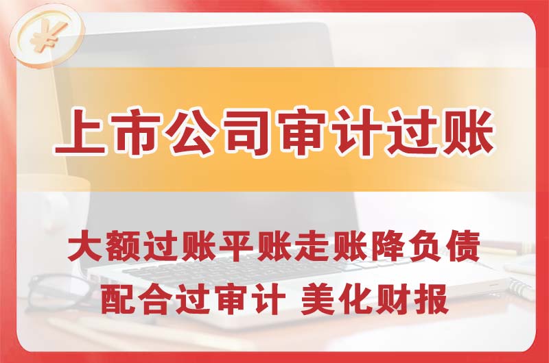 邹城上市公司审计过账